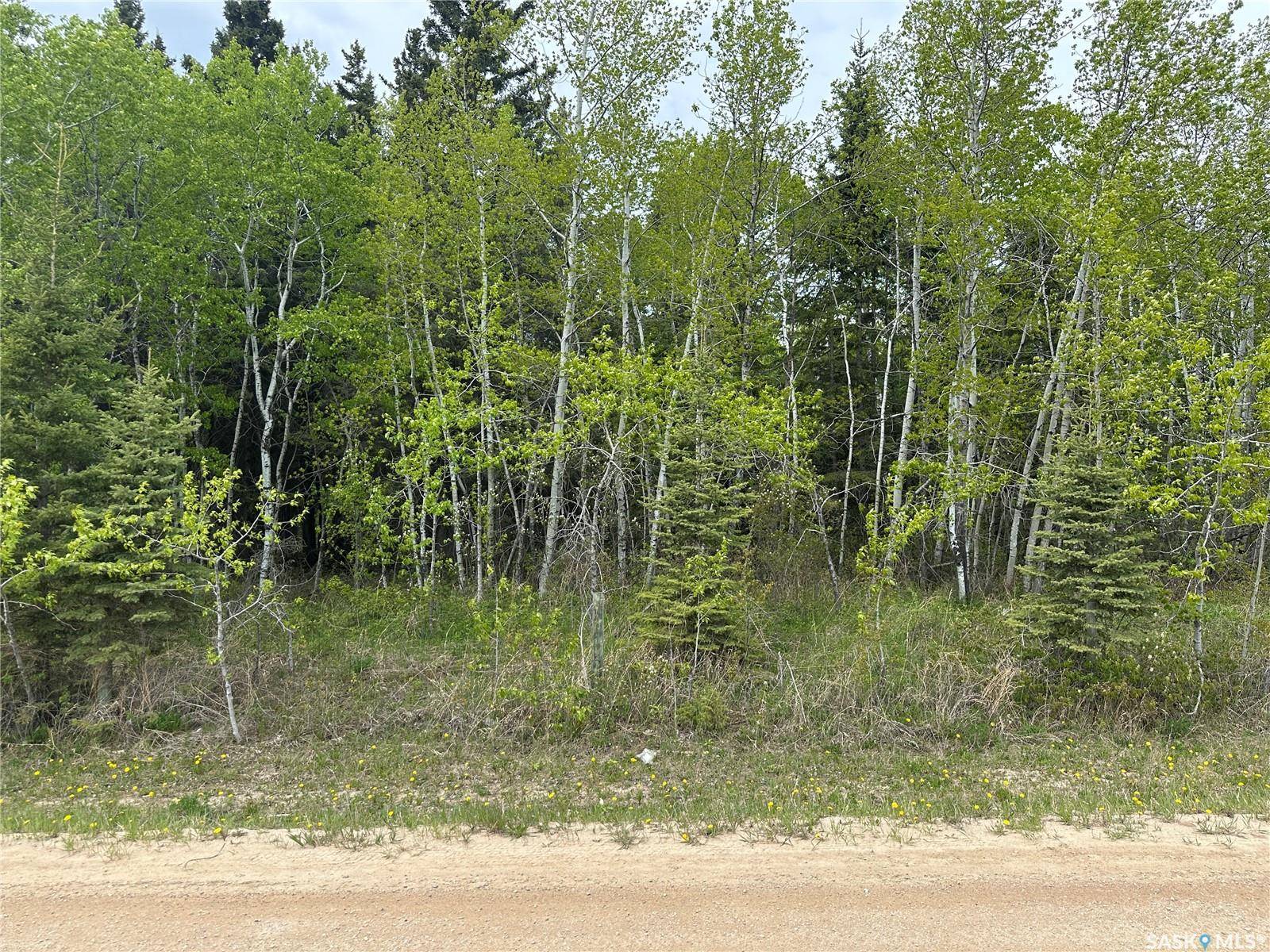 Big River, SK S0J 0E0,3 george STREET