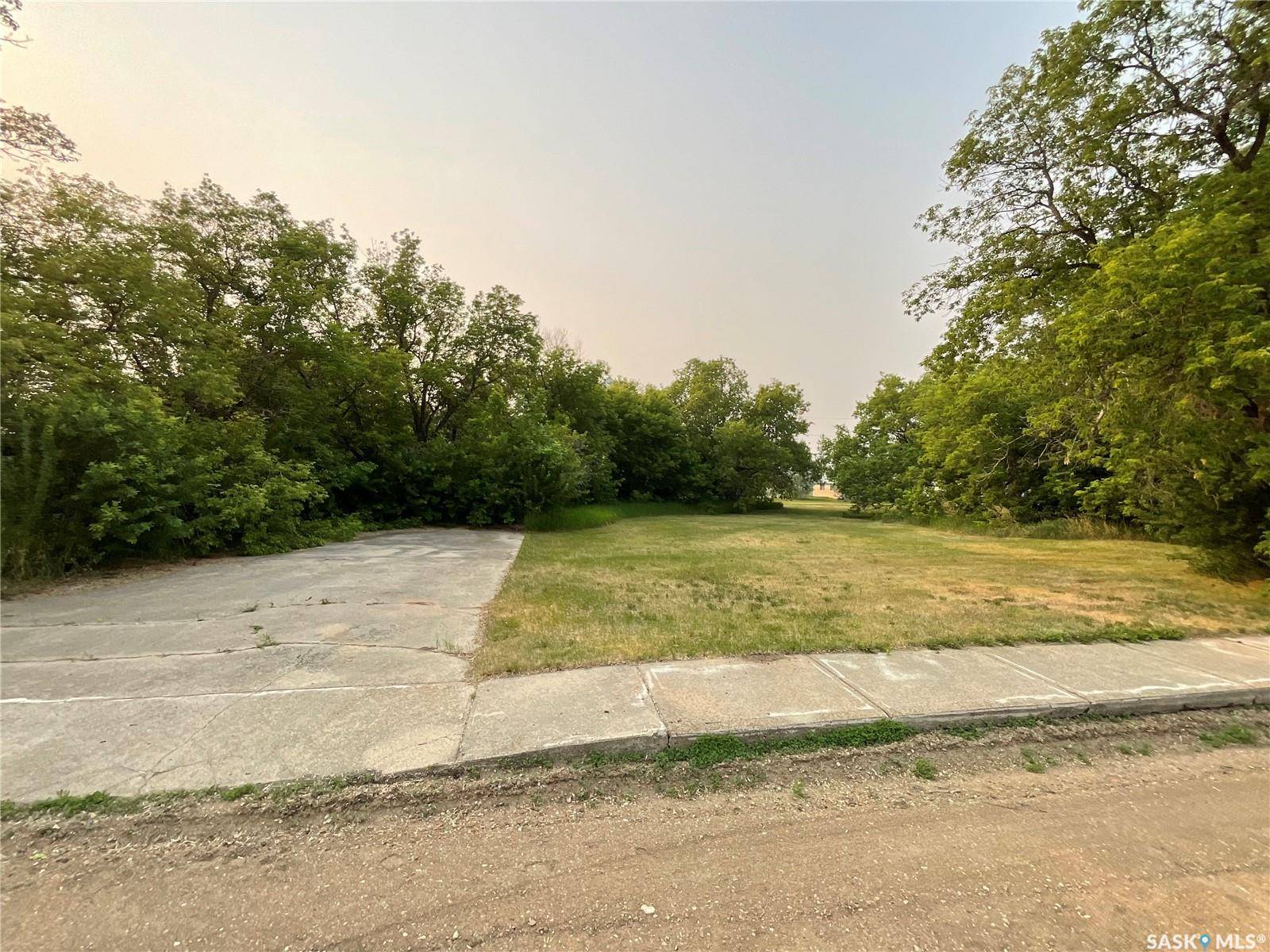 Blaine Lake, SK S0J 0J0,228 1st AVENUE W