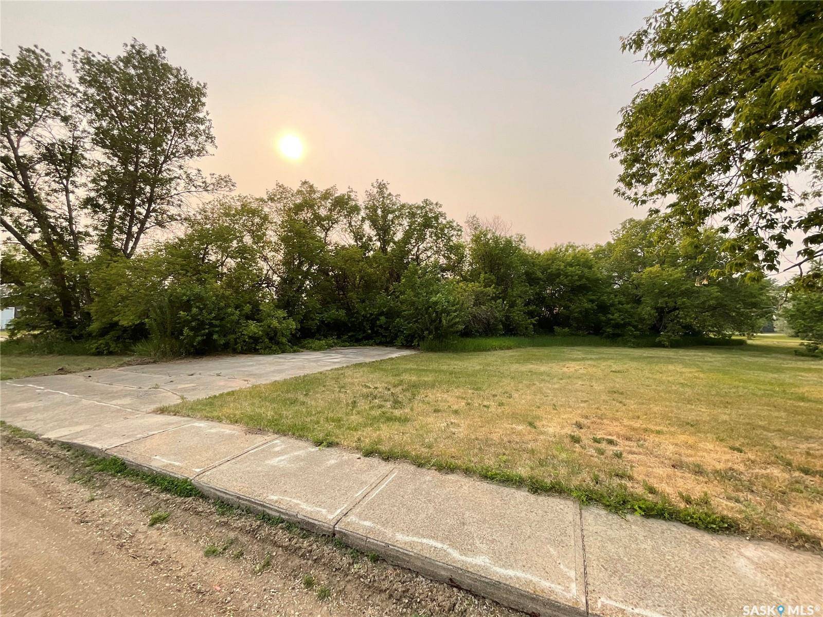 Blaine Lake, SK S0J 0J0,228 1st AVENUE W