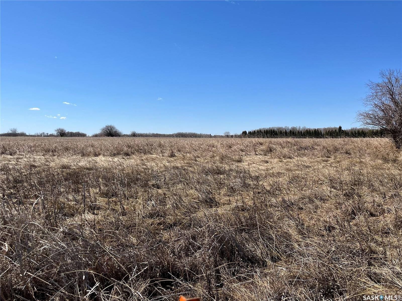 Corman Park Rm No. 344, SK R7K 3J8,Rural Address