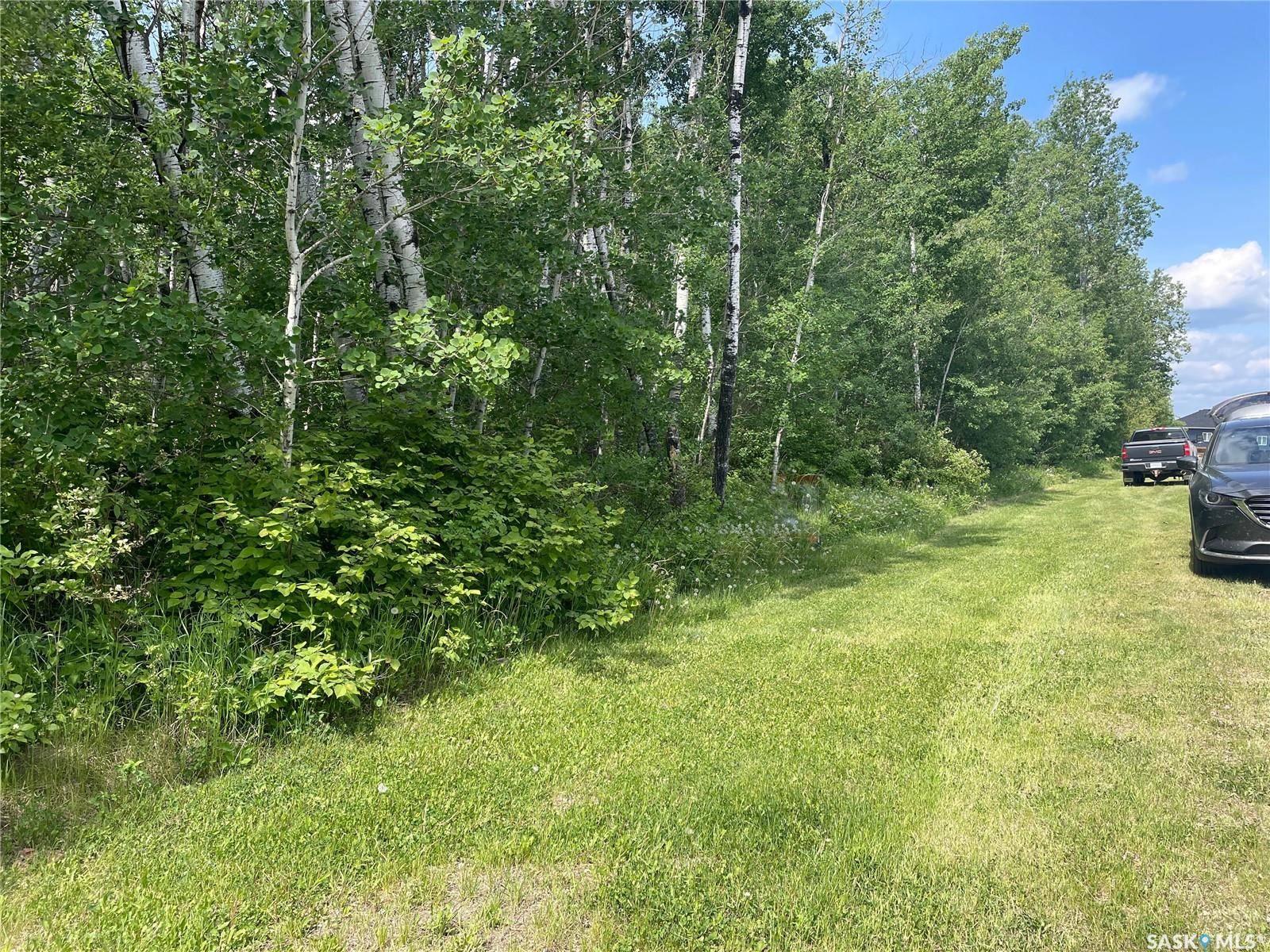 Big River Rm No. 555, SK S0J 0E0,8 Fresno STREET