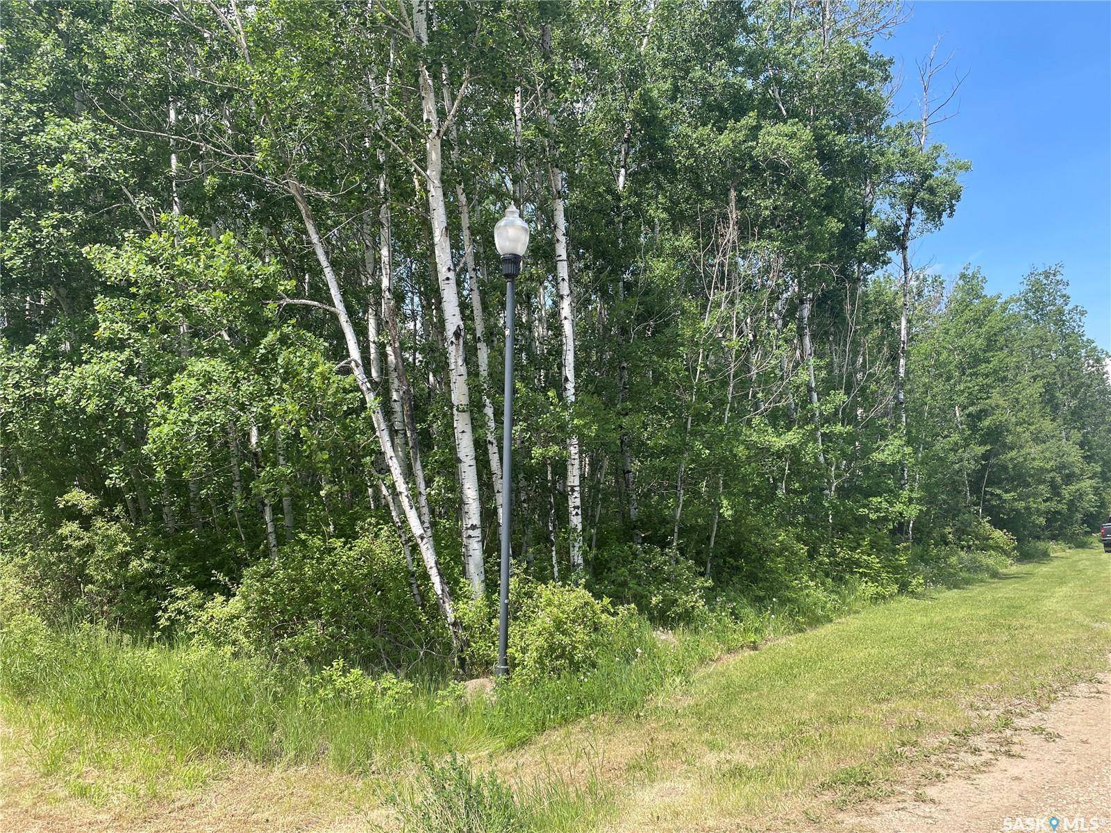 Big River Rm No. 555, SK S0J 0E0,8 Fresno STREET