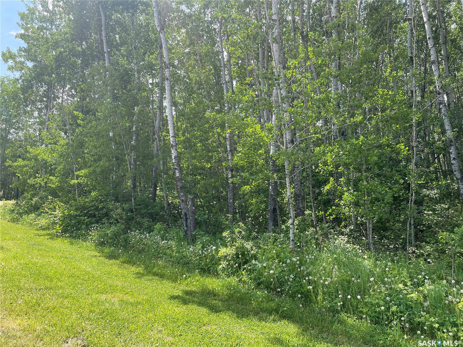 Big River Rm No. 555, SK S0J 0E0,8 Fresno STREET