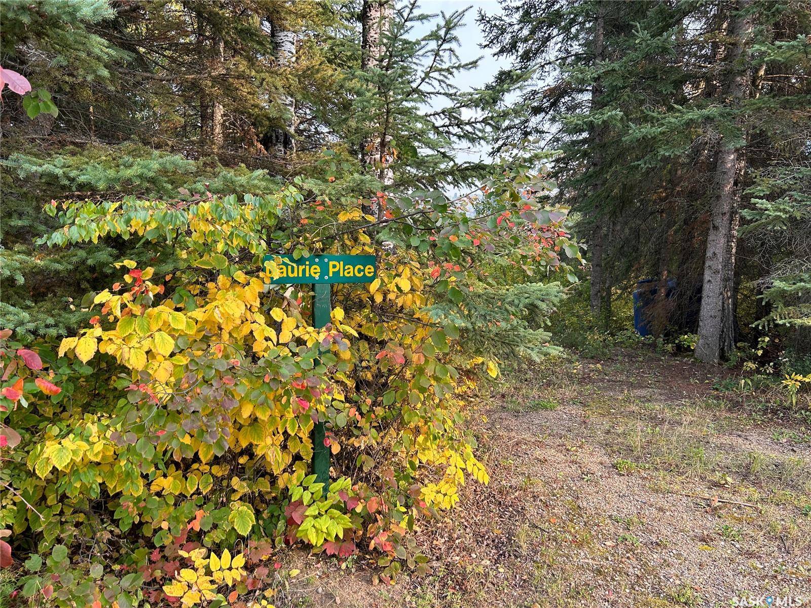 Paddockwood Rm No. 520, SK S0J 0N0,1301 Laurie PLACE