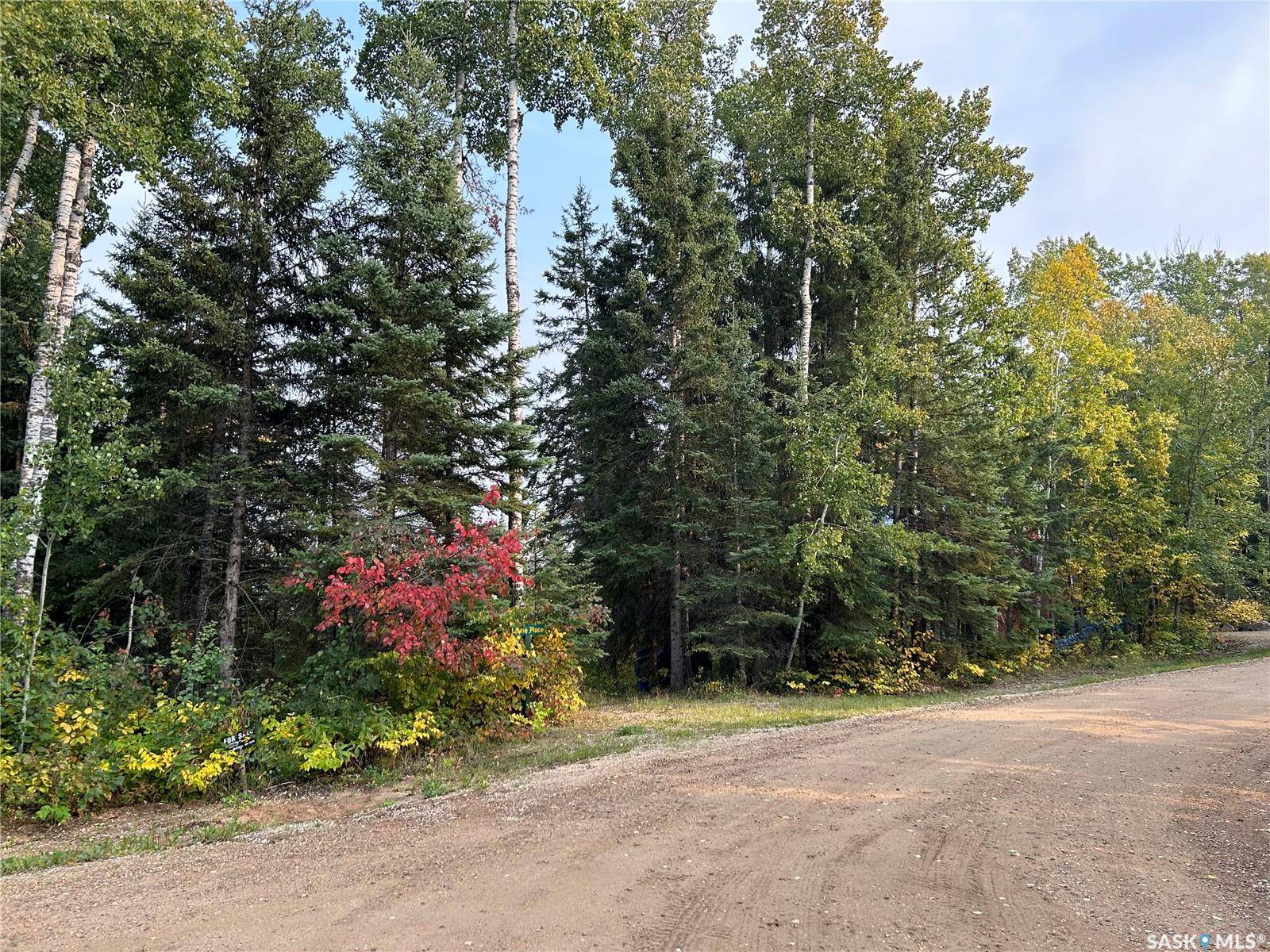 Paddockwood Rm No. 520, SK S0J 0N0,1301 Laurie PLACE