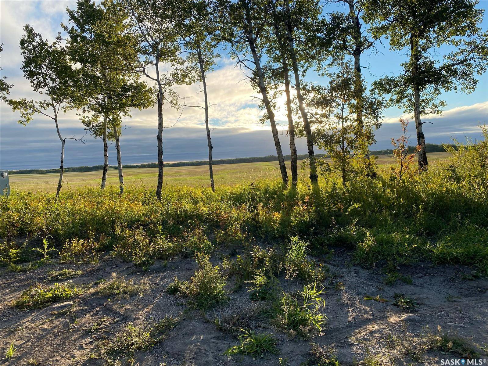 Rocanville Rm No. 151, SK S0A 3L0,Rural Address