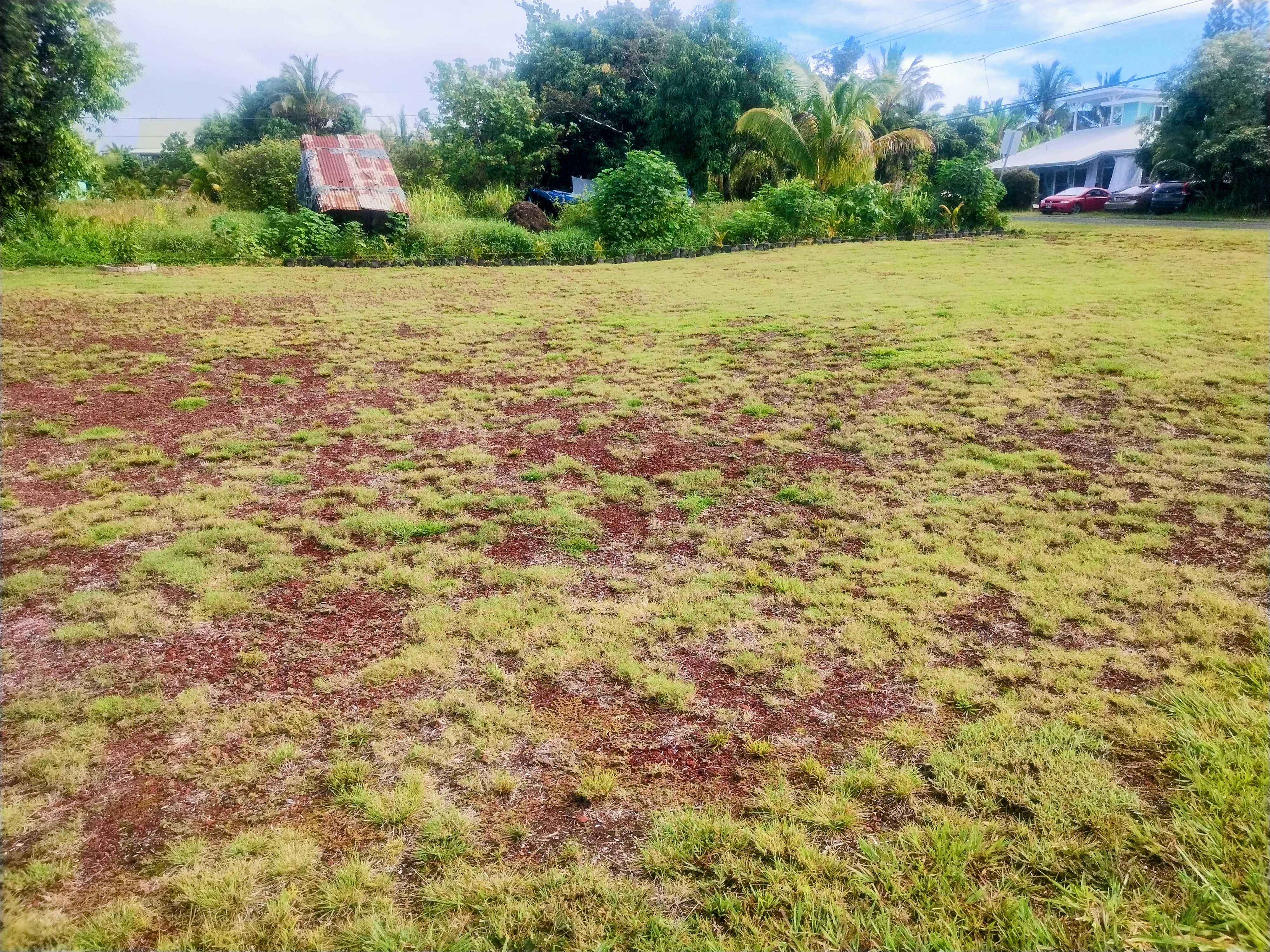 Pahoa, HI 96778,12-215 MAPUANA AVE