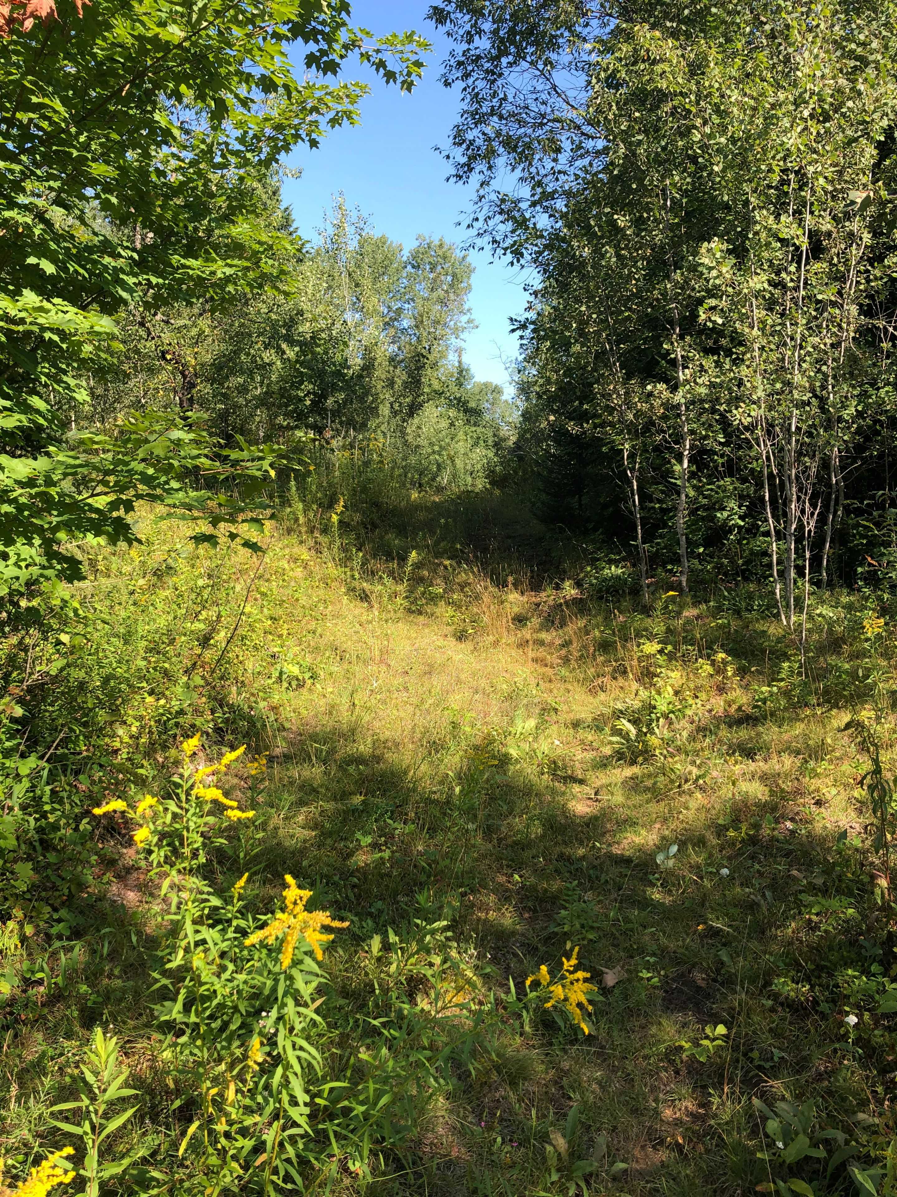 Dysart Et Al, ON K0M 1S0,LOT 6-10 MOON RD