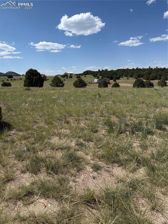 Cotopaxi, CO 81223,1739 17th TRL