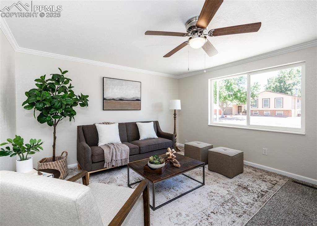 Colorado Springs, CO 80916,4460 Monica DR