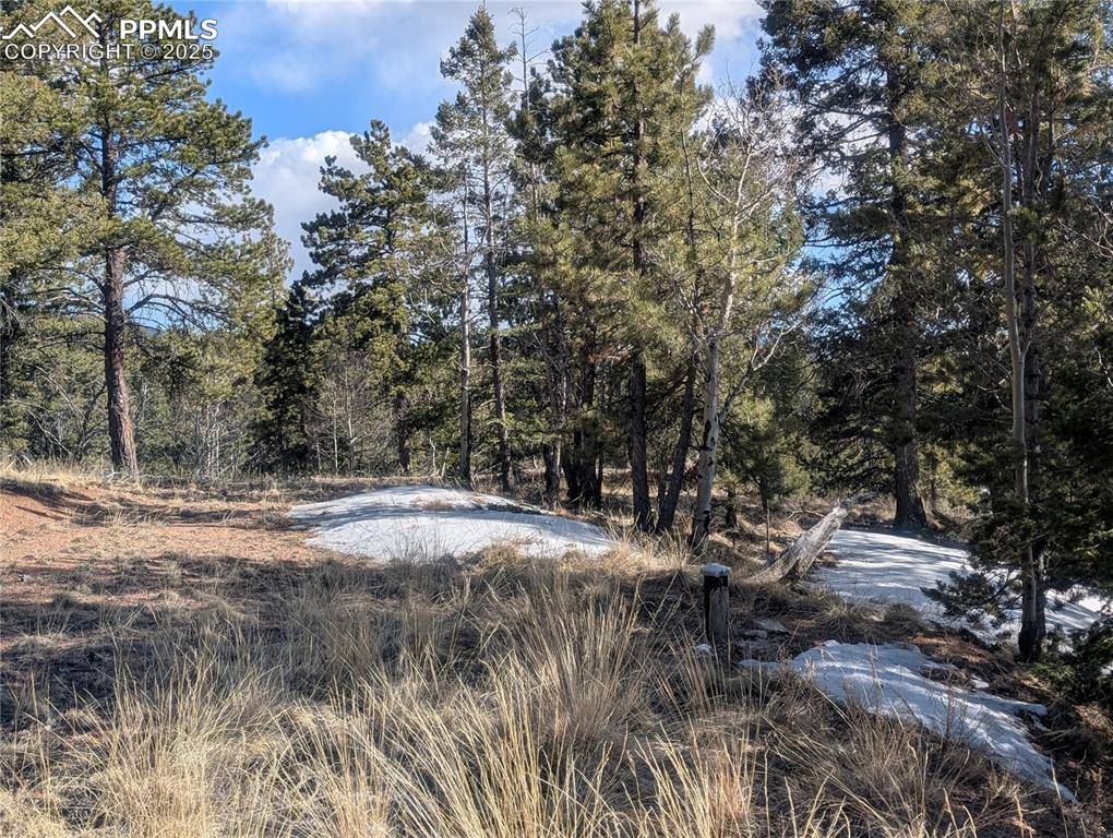 Florissant, CO 80816,56 Rampart CIR