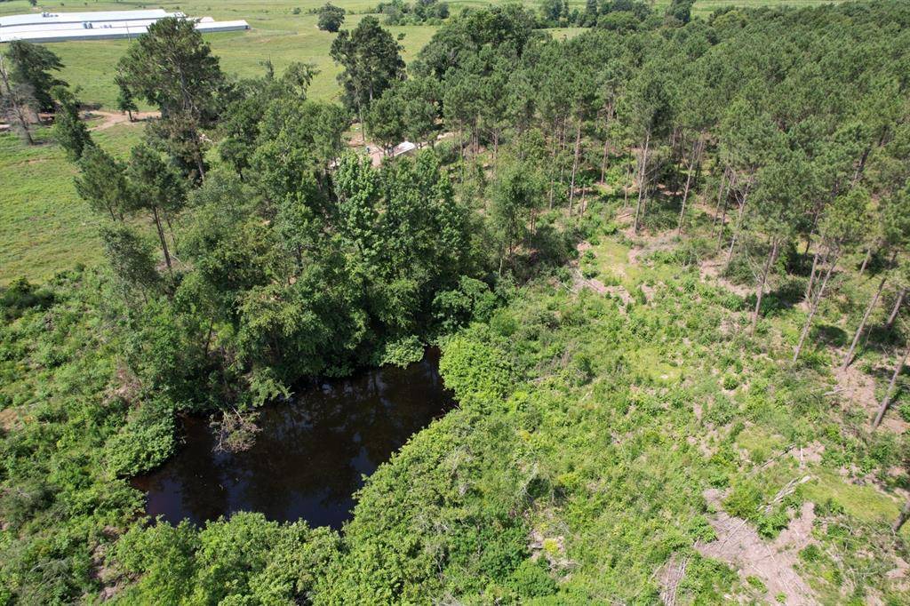 Tenaha, TX 75974,TBD County Road 3706