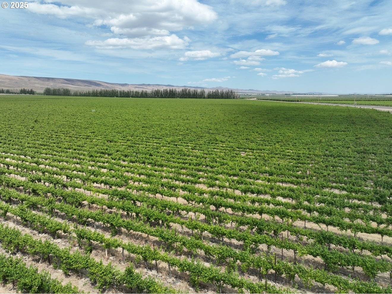 Mattawa, WA 99349,Wahluke Rd SW