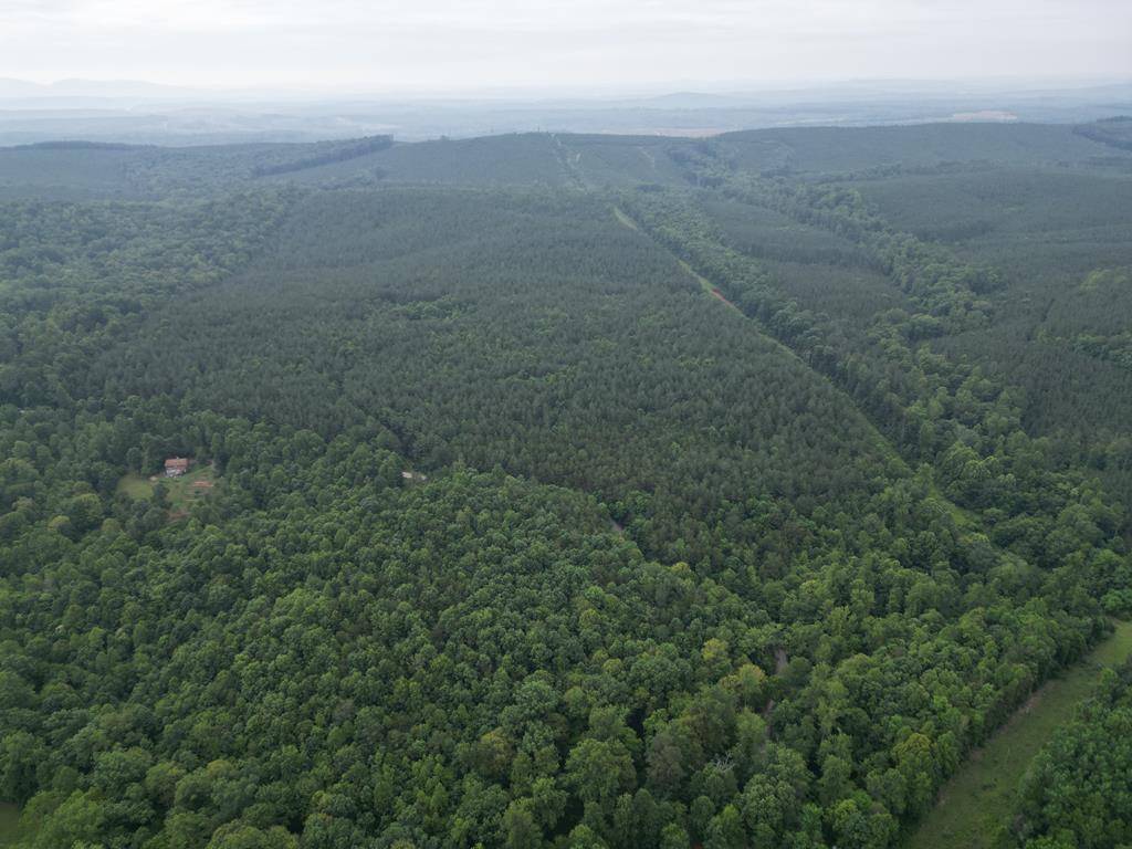 Gladstone, VA 24553,1300 Greenfield Drive