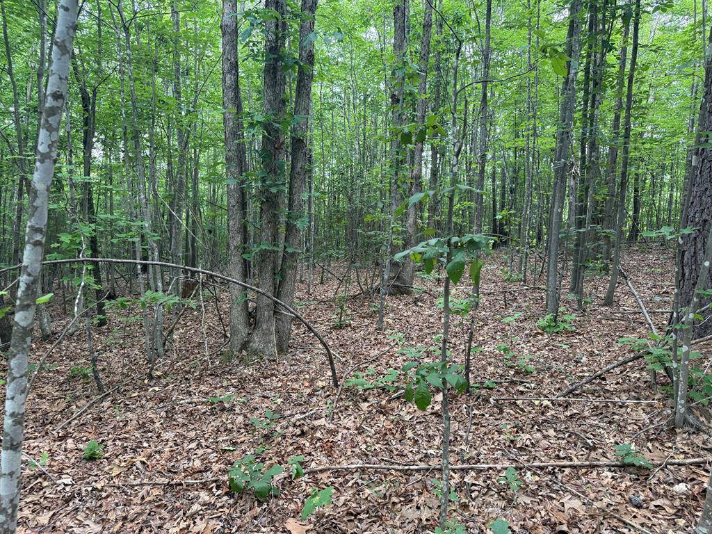 Gladstone, VA 24553,1300 Greenfield Drive