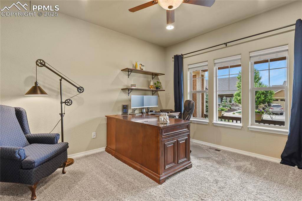 Colorado Springs, CO 80921,233 Coyote Willow DR