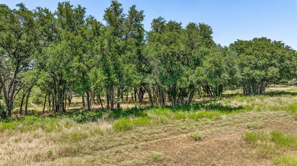 Carlton, TX 76436,TBD PR 1272