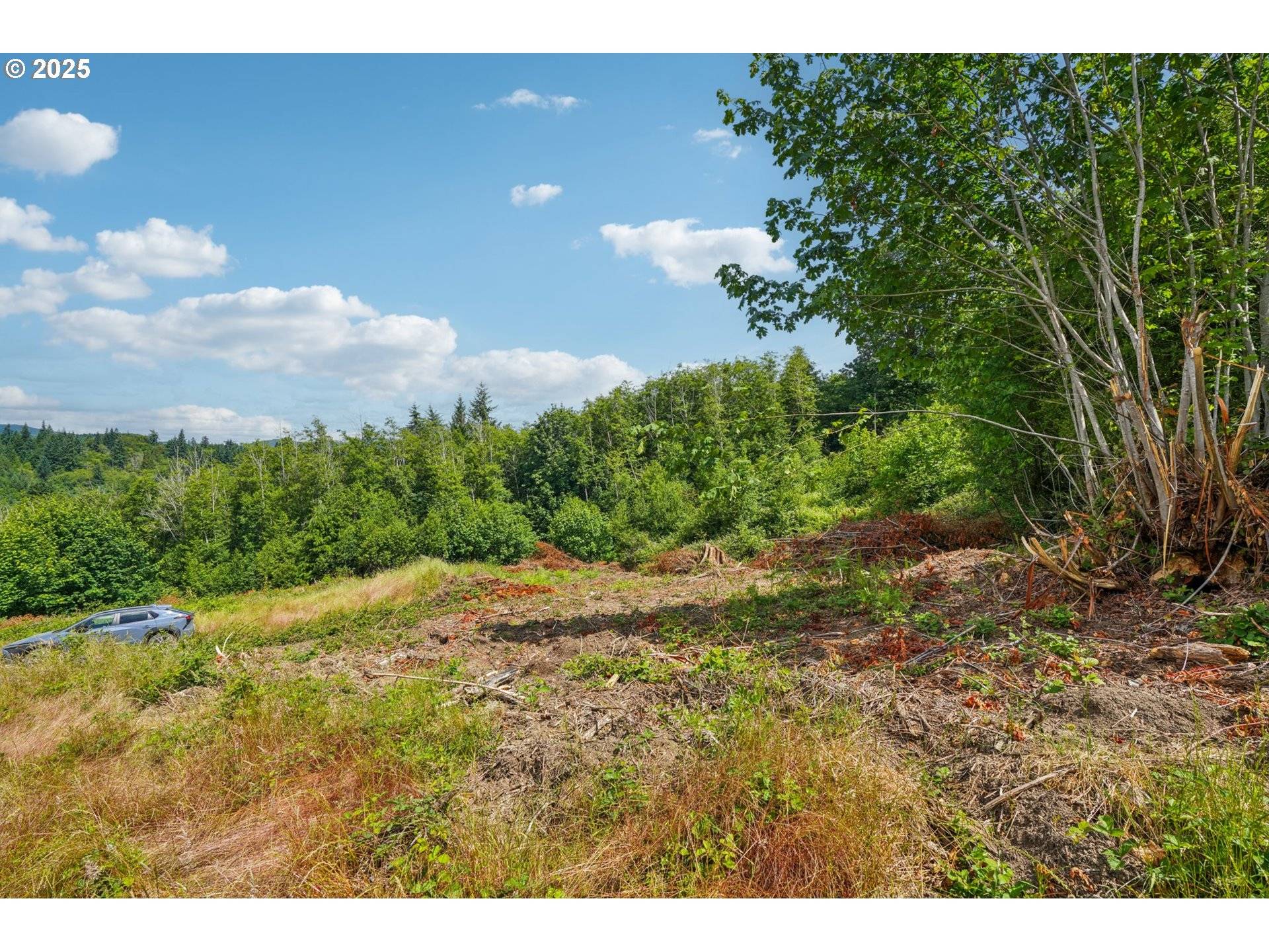 Castle Rock, WA 98611,1830 Hazel Dell RD #Lot 3