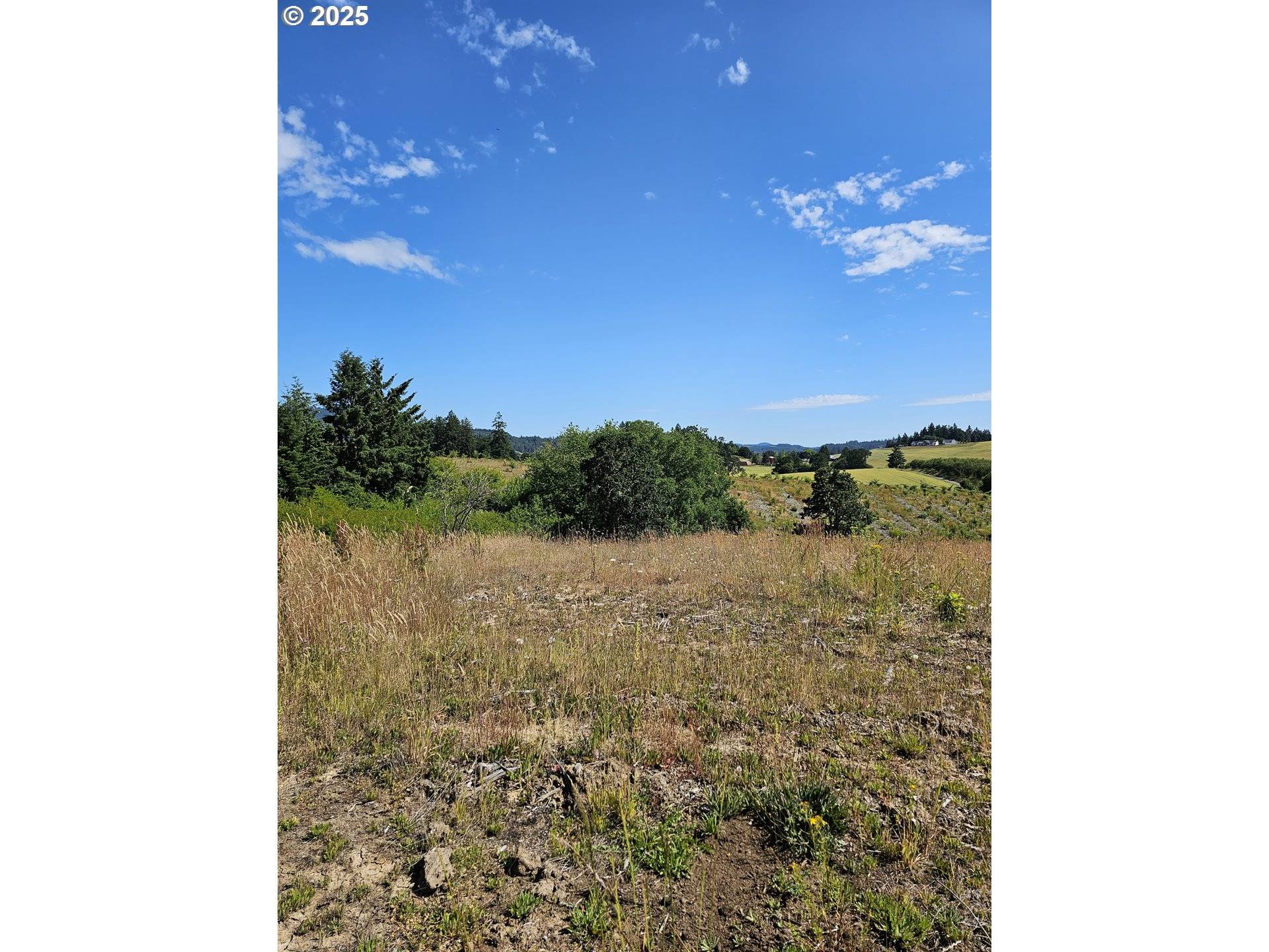 Gaston, OR 97119,Hardebeck RD