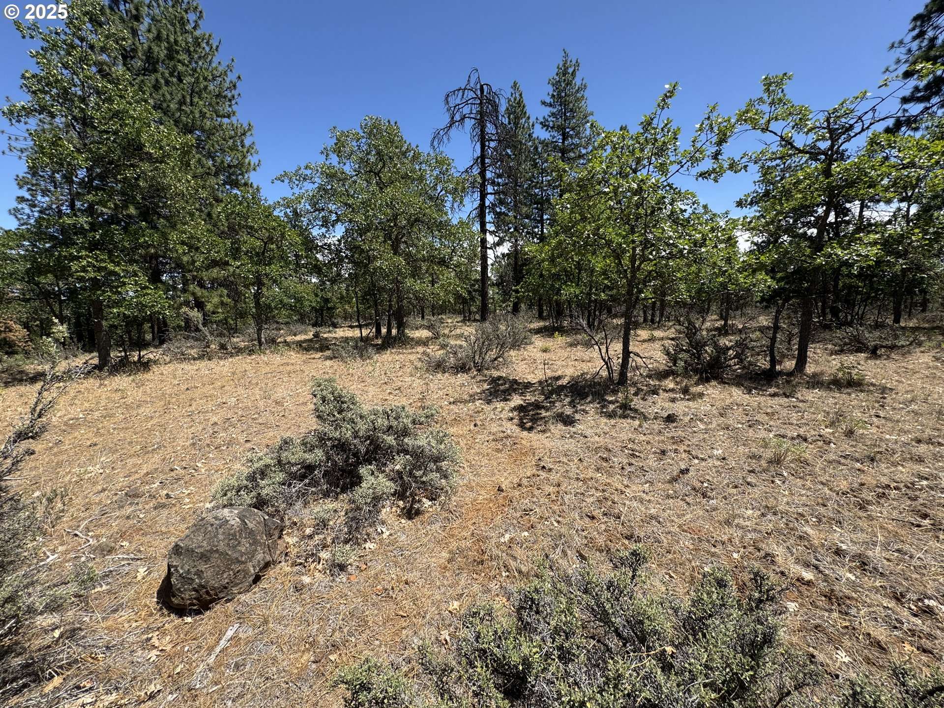 Goldendale, WA 98620,Old Mtn. RD