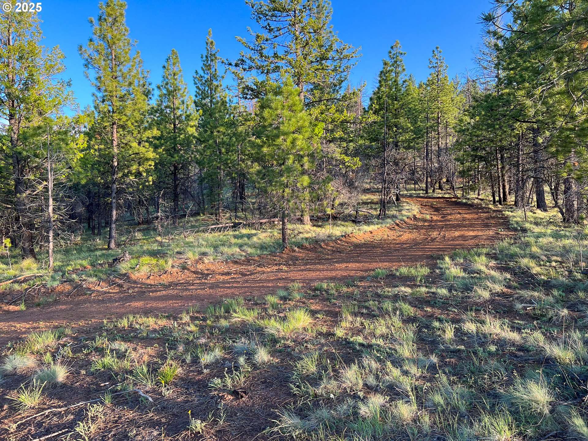 John Day, OR 97845,FS Rd 613