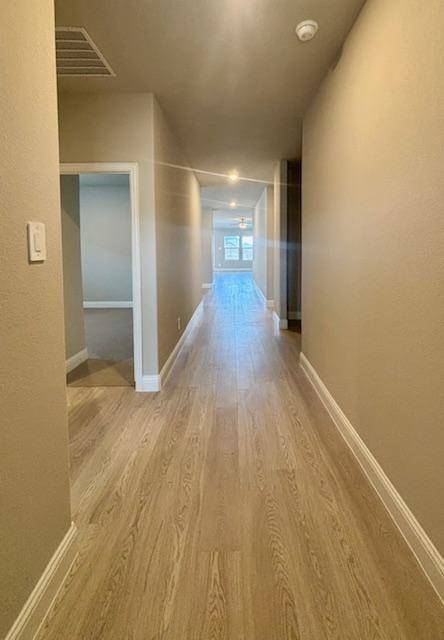 Mckinney, TX 75071,917 Honeydew Lane