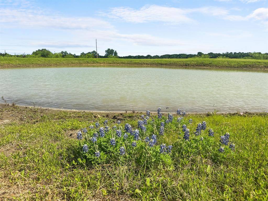 Palmer, TX 75152,3852 Fm 879