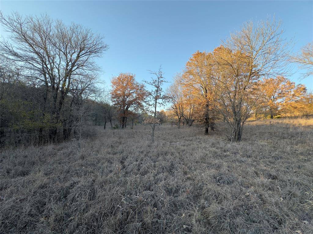 Chico, TX 76431,Lot 283 Cozy Cove Court