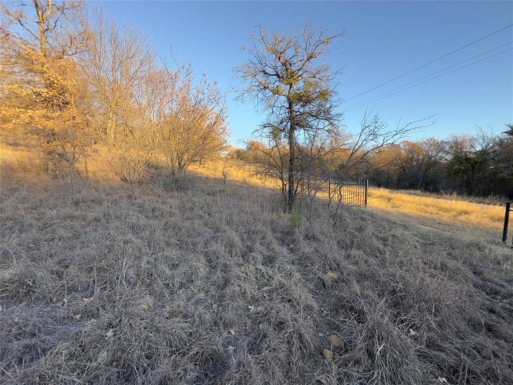 Chico, TX 76431,Lot 283 Cozy Cove Court