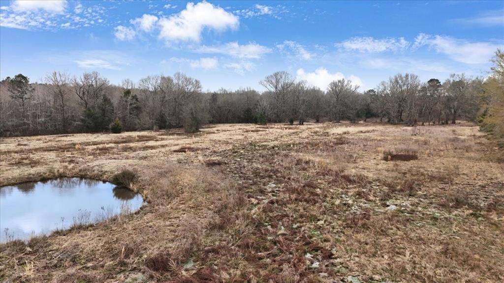 Gilmer, TX 75644,TBD Poppy Road