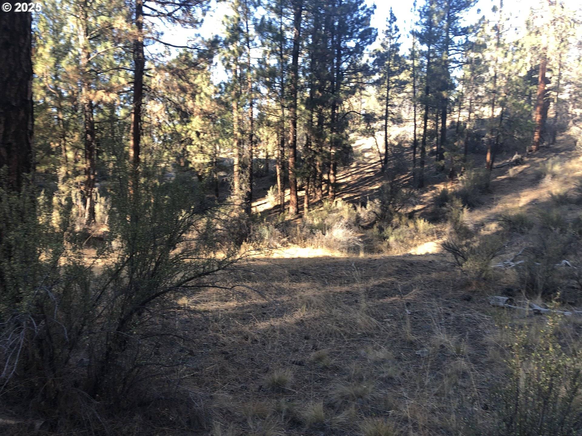 Chiloquin, OR 97624,32555 MAGPIE RD #6