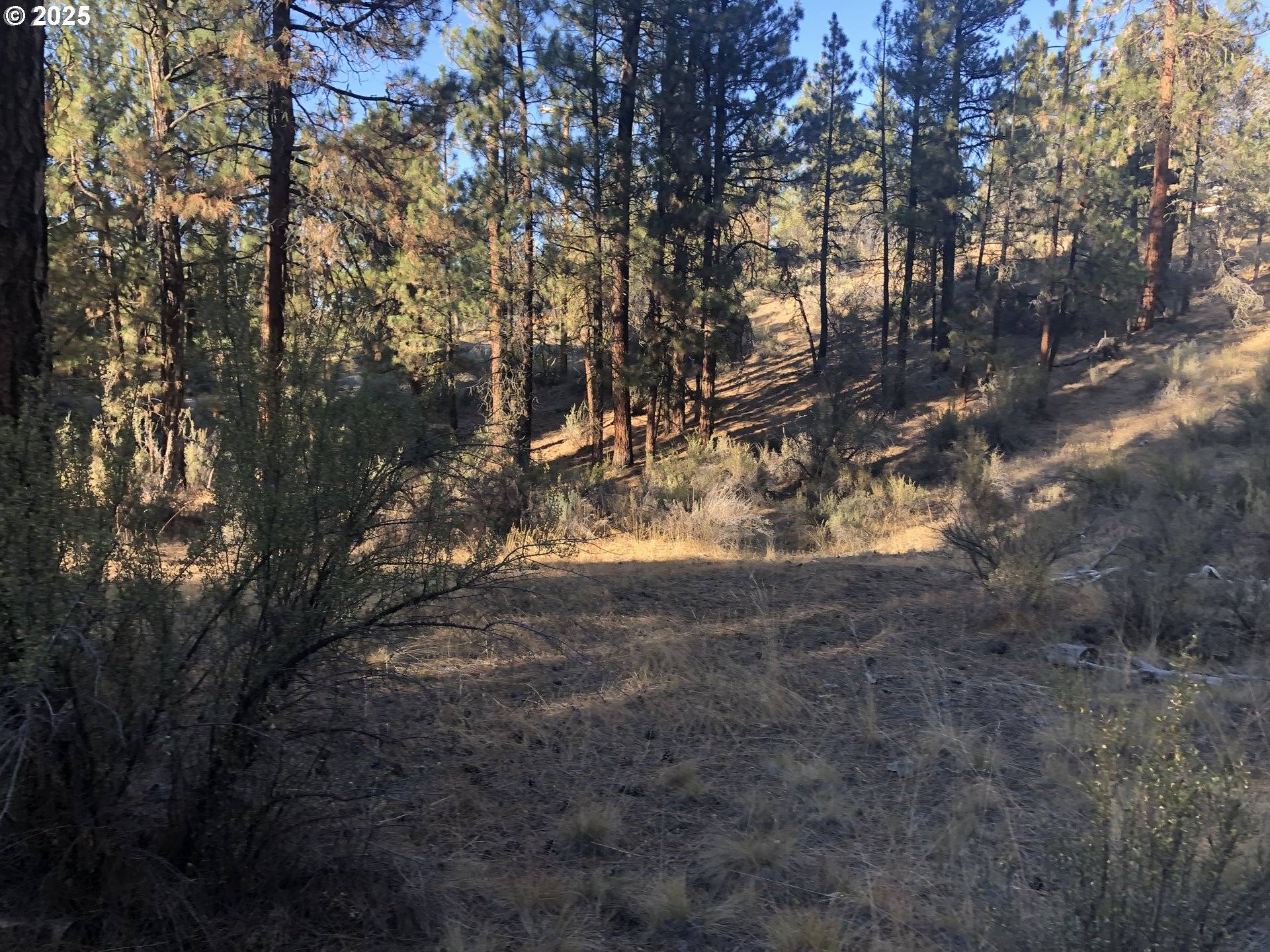 32555 MAGPIE RD #6, Chiloquin, OR 97624