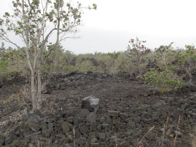 Ocean View, HI 96737,KING KAMEHAMEHA BLVD