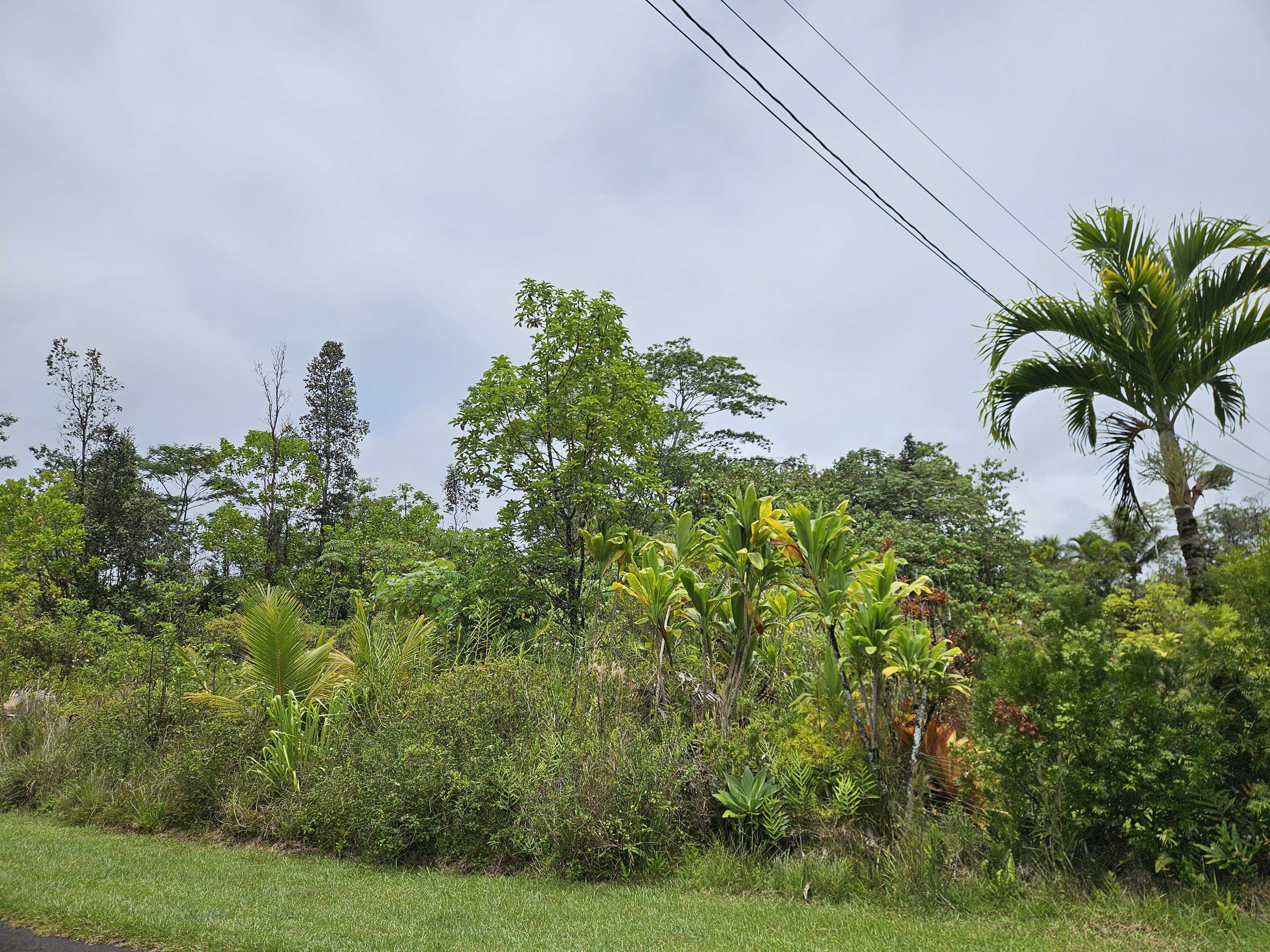 Pahoa, HI 96778,IAO ST