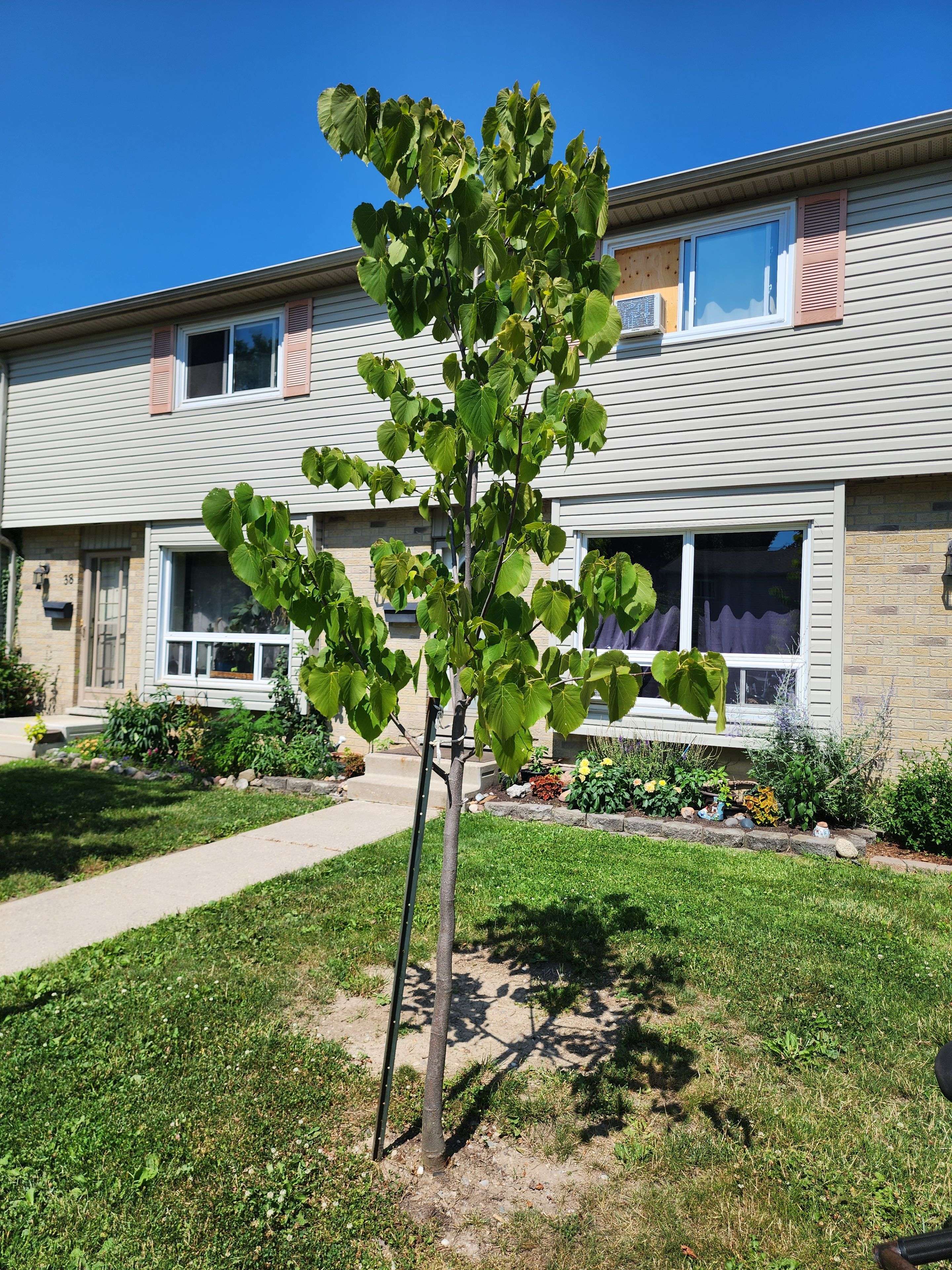 London South, ON N6C 5B9,475 Sandringham CRES #39