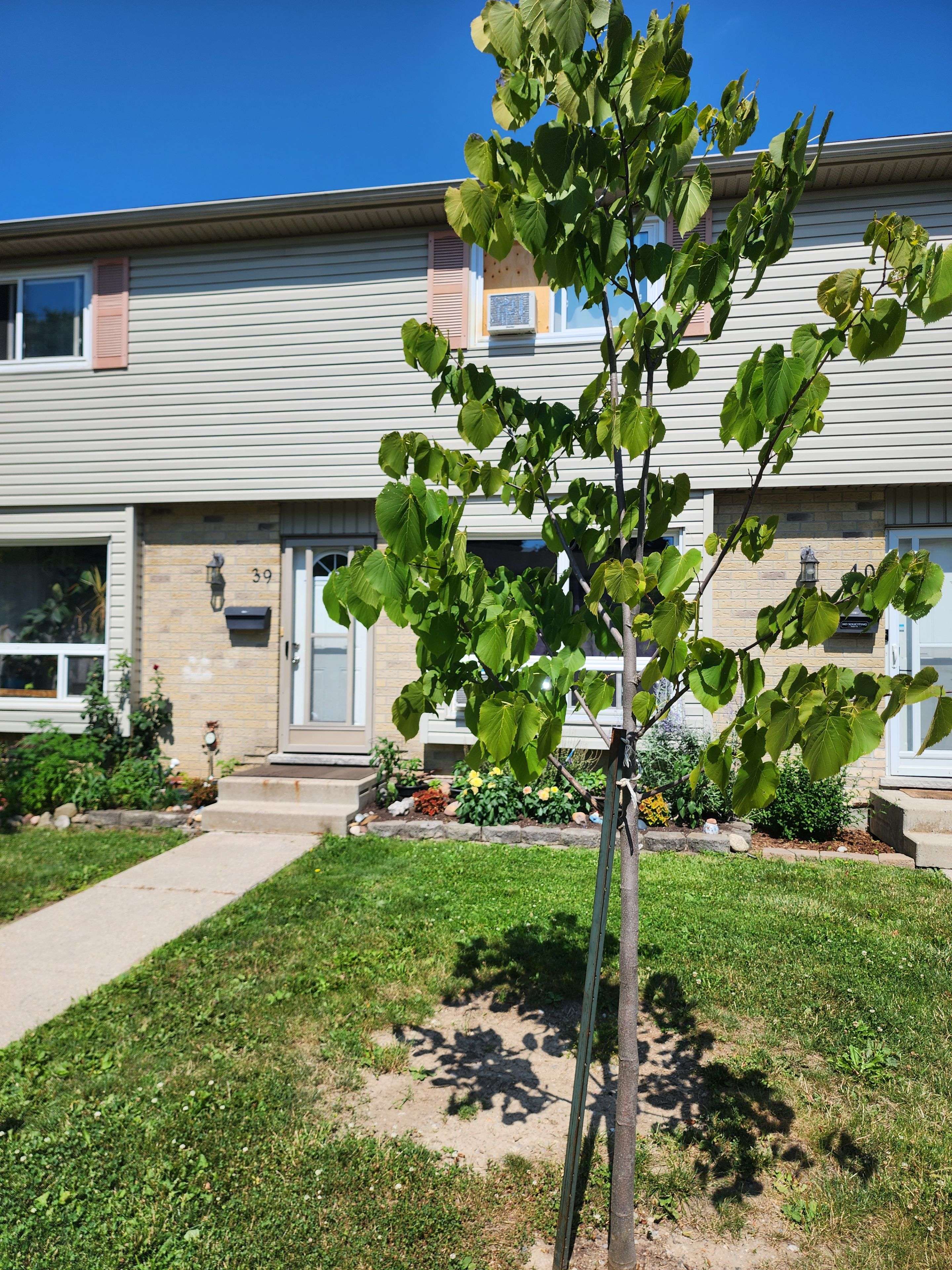 London South, ON N6C 5B9,475 Sandringham CRES #39