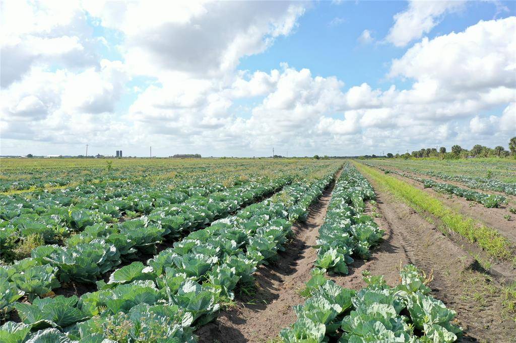 Basinger, FL 34972