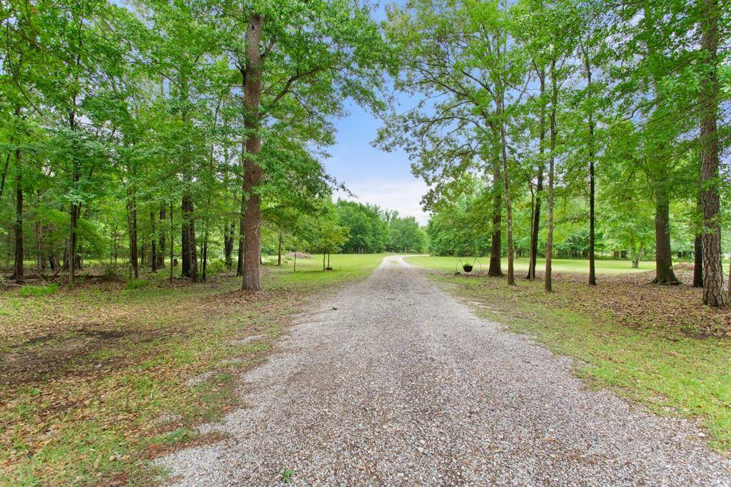 Ben Wheeler, TX 75754,1255 VZ CR 4909