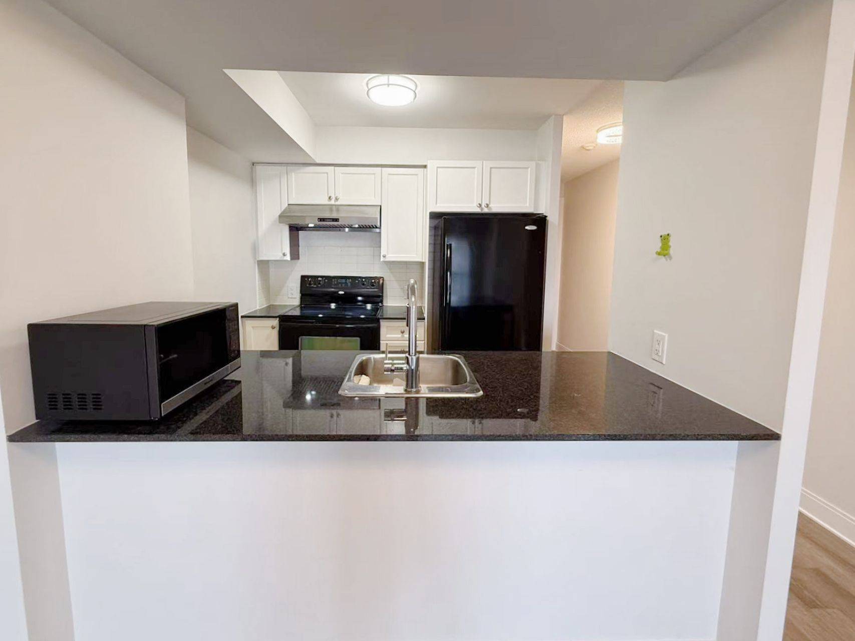 Toronto E07, ON M1S 0G4,135 Village Green SQ #1225