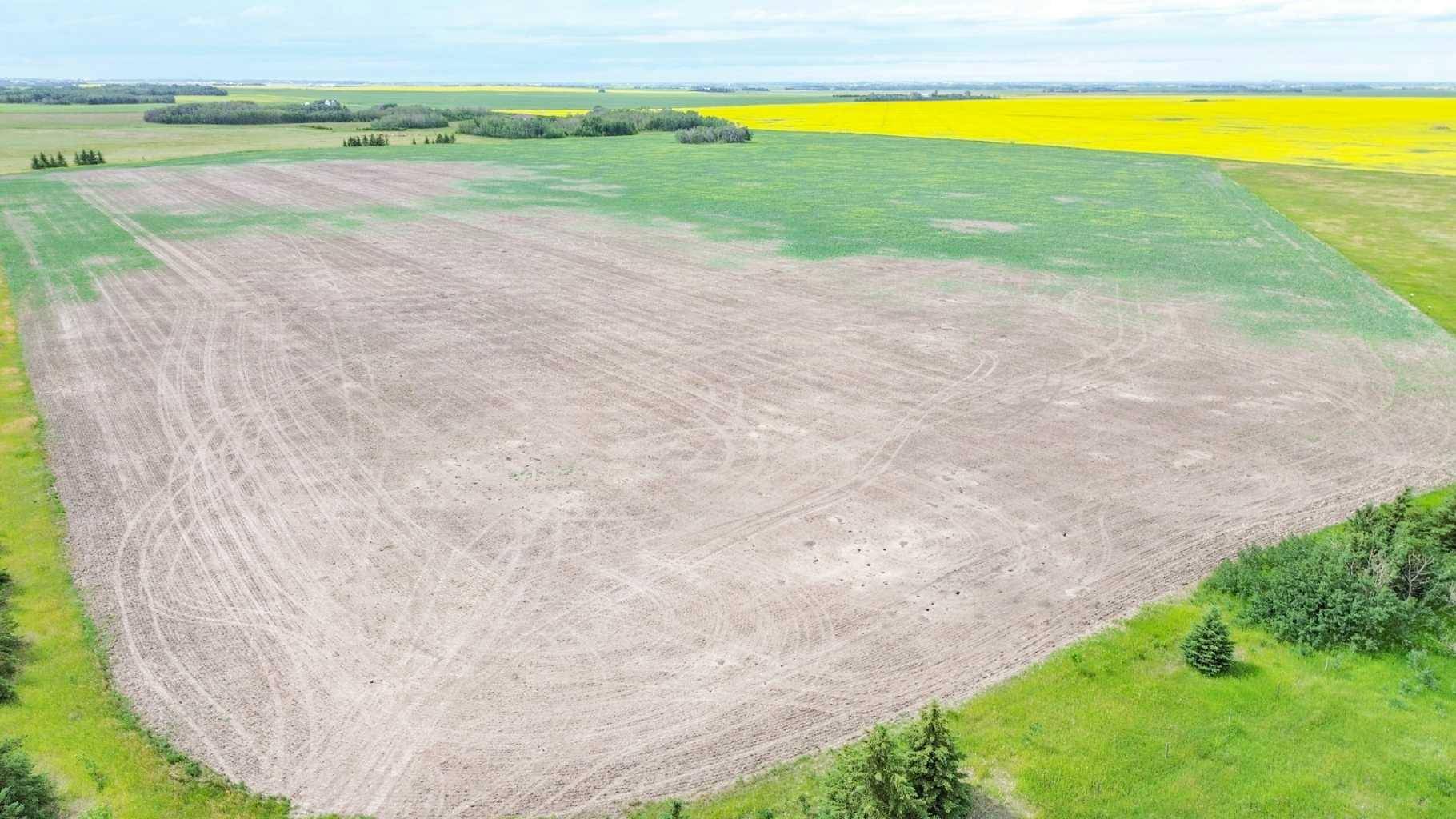 Botha, AB T0C 2L0,18320 TWP 39-0
