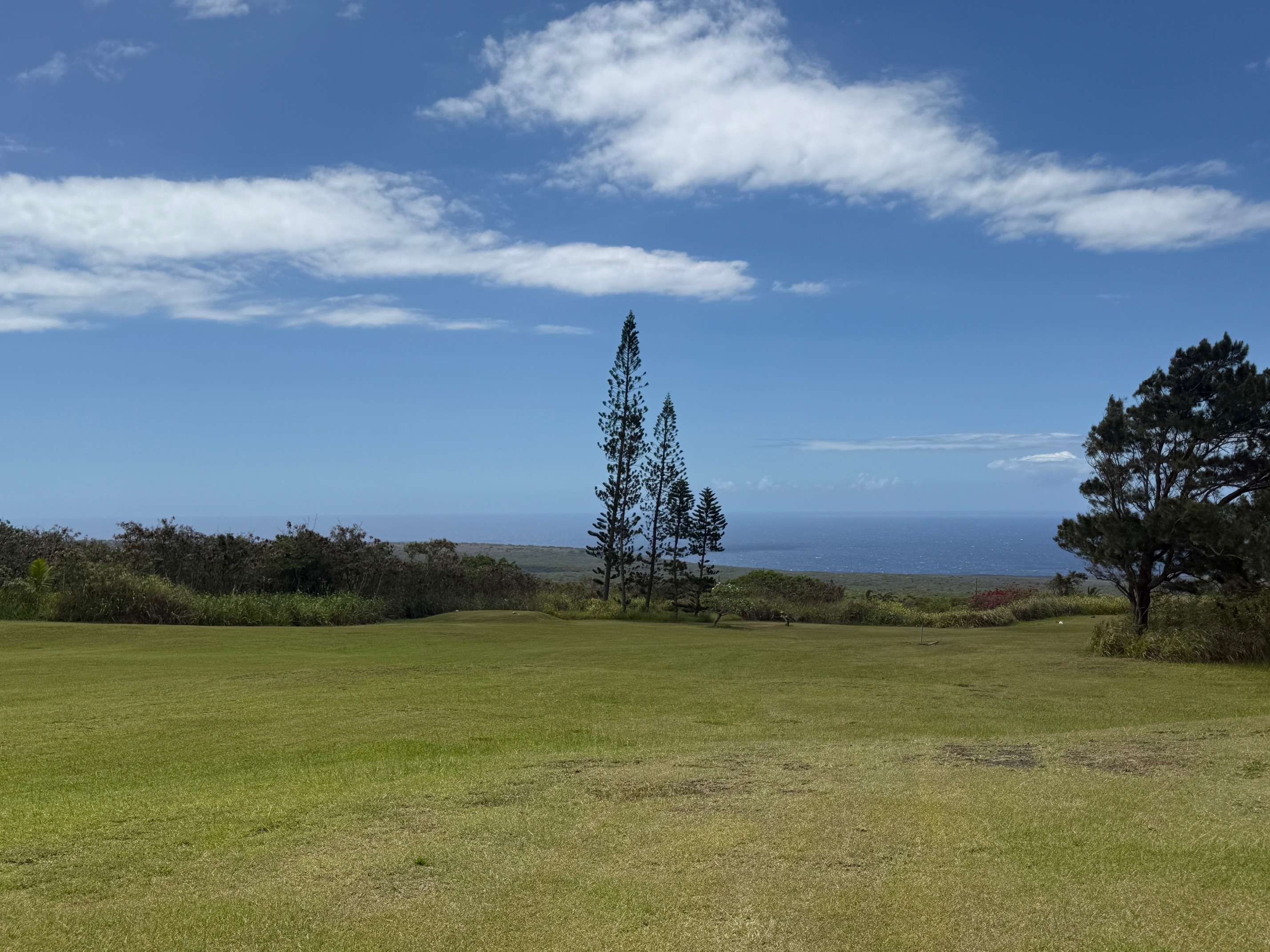 94-5877 KAU WELA PL, Naalehu, HI 96772