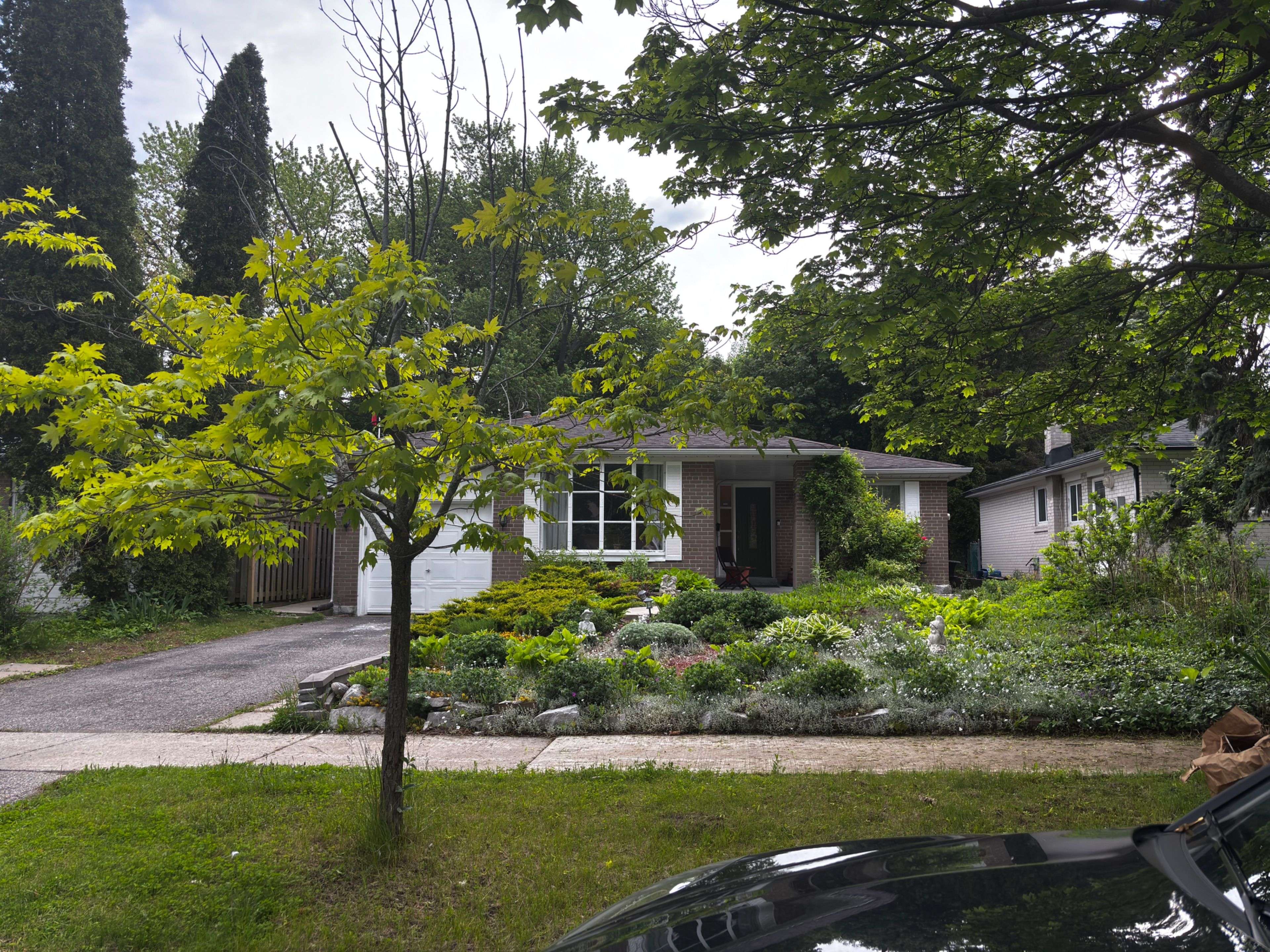 Toronto E09, ON M1G 2Z1,167 Merkley SQ #Basement Apt