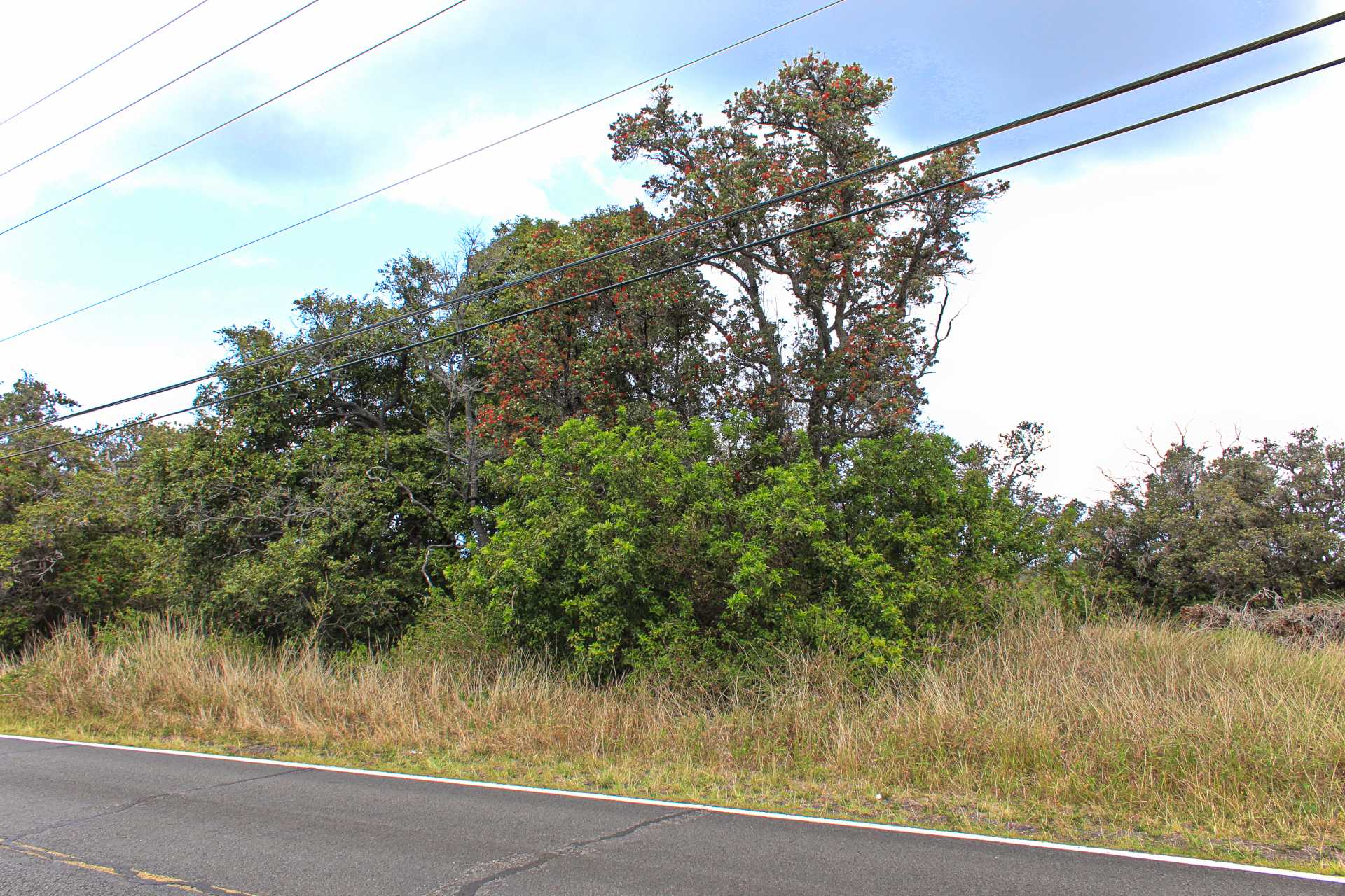 Ocean View, HI 96737,PRINCE KUHIO BLVD