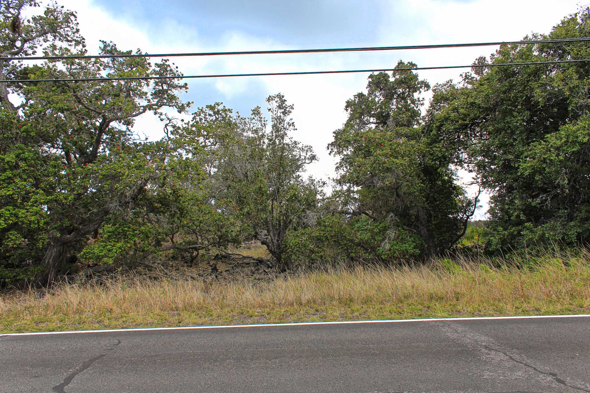 Ocean View, HI 96737,PRINCE KUHIO BLVD