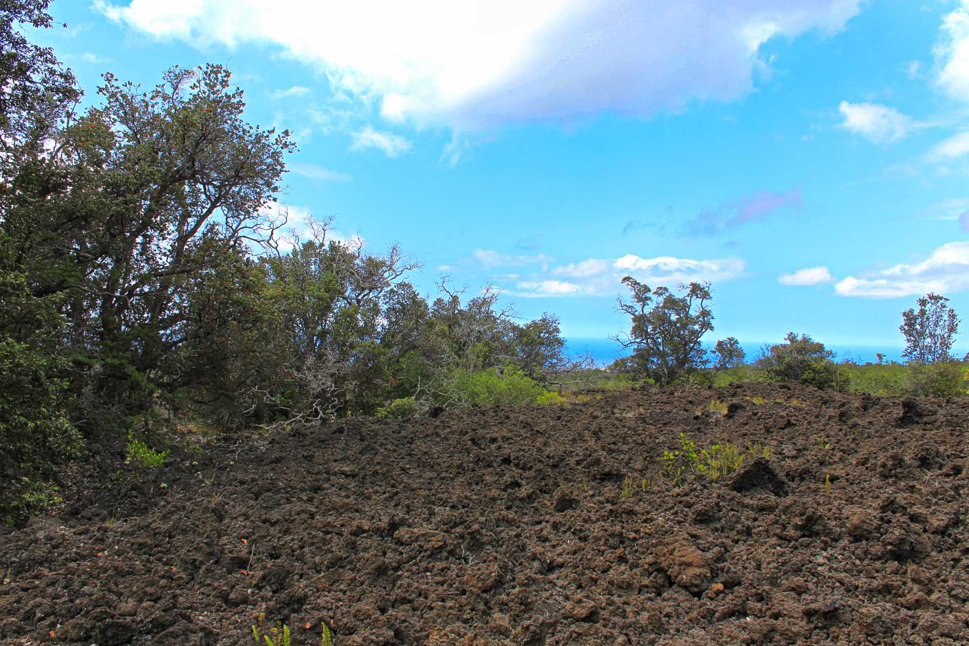 Ocean View, HI 96737,PRINCE KUHIO BLVD