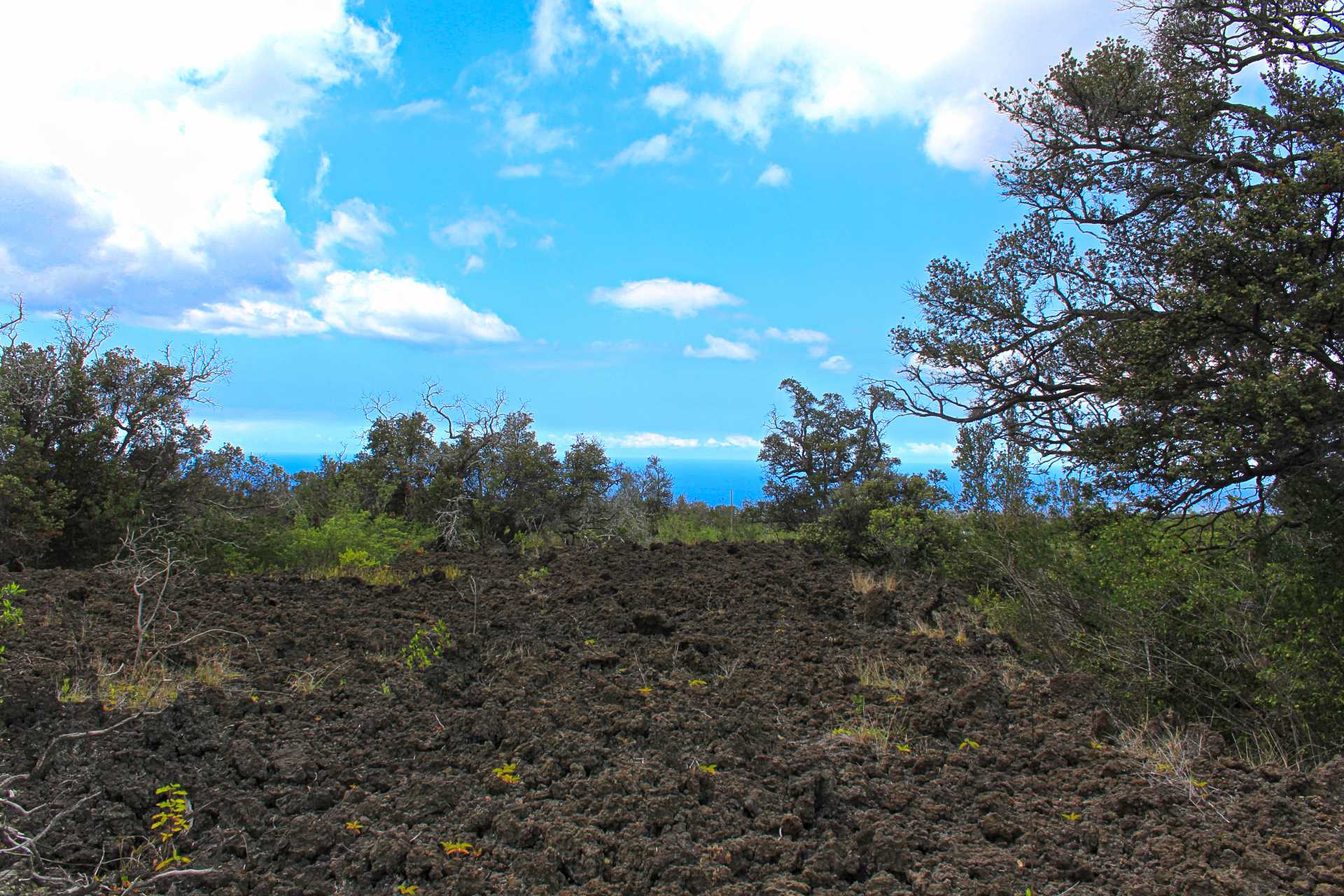 Ocean View, HI 96737,PRINCE KUHIO BLVD