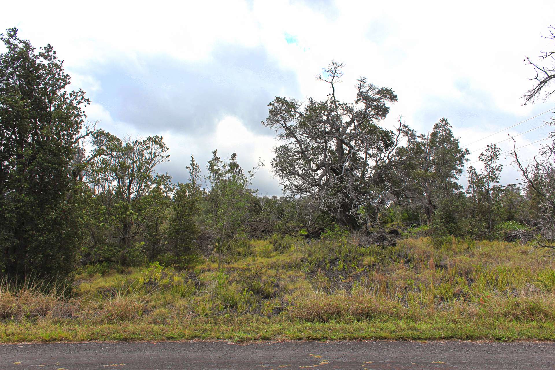 Ocean View, HI 96737,BOUGAINVILLAEA DR