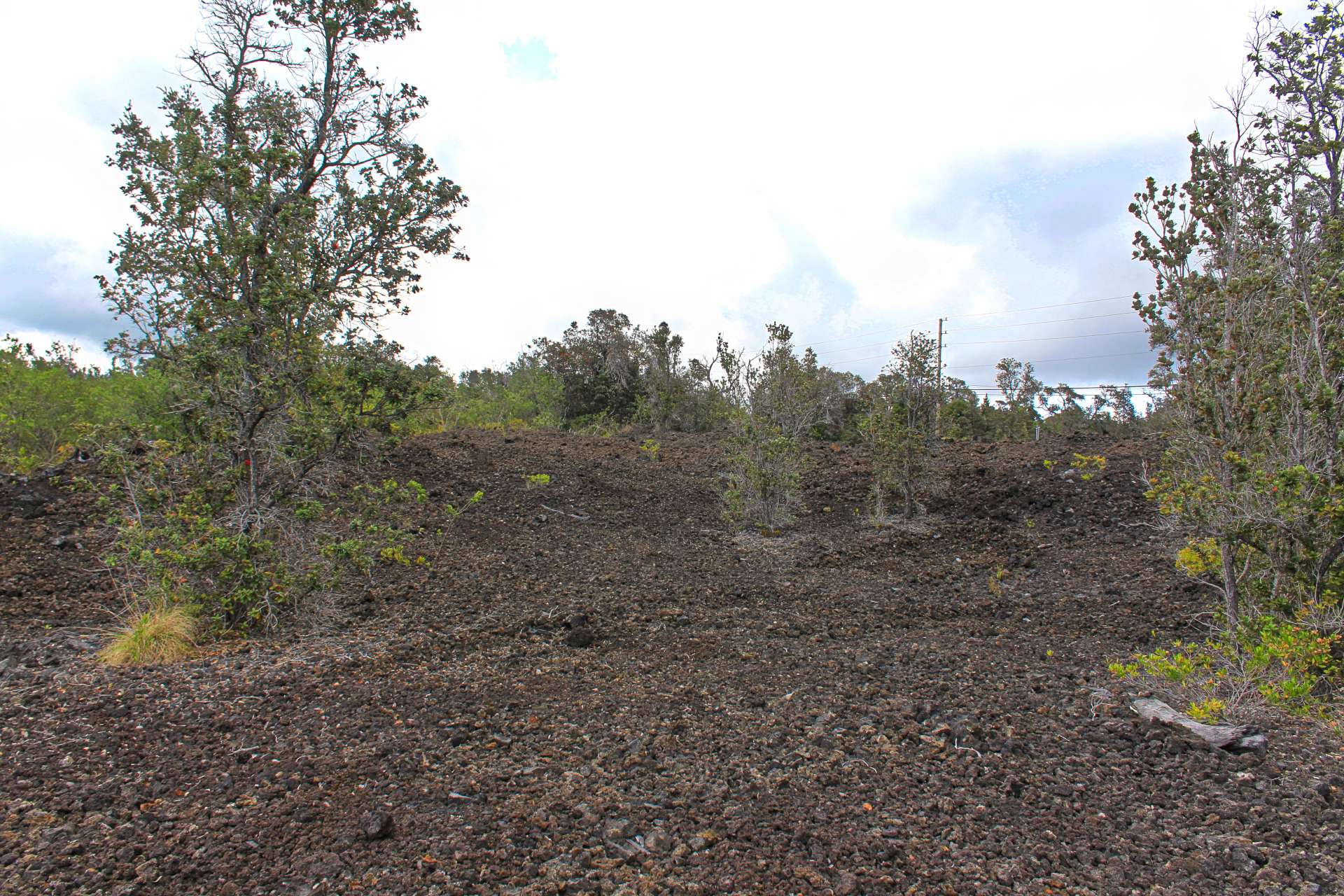 Ocean View, HI 96737,BOUGAINVILLAEA DR