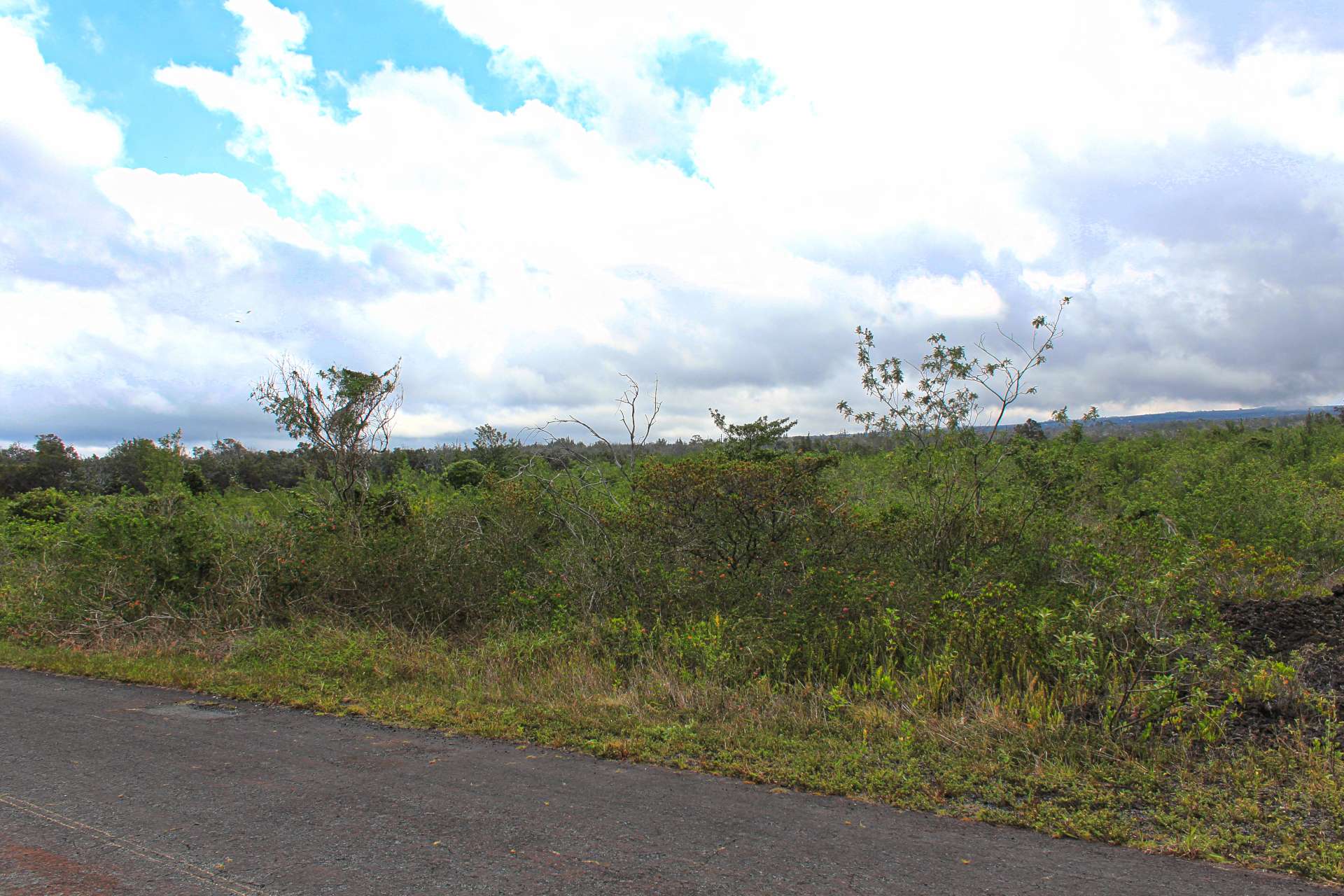 Ocean View, HI 96737,BOUGAINVILLAEA DR