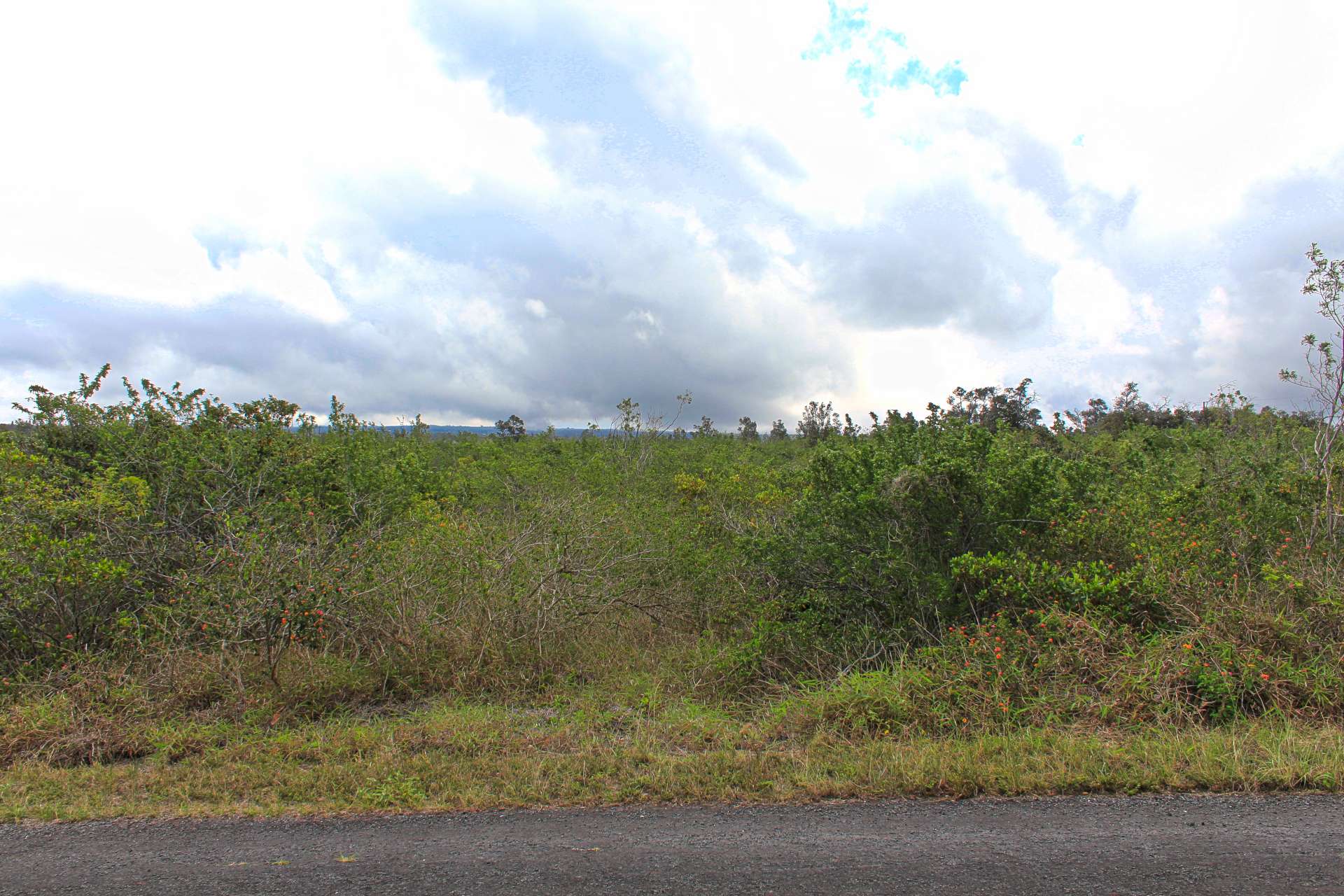 Ocean View, HI 96737,BOUGAINVILLAEA DR